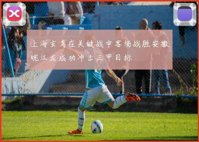 上海玄鸟在关键战中客场战胜安徽皖江龙成功冲击三甲目标